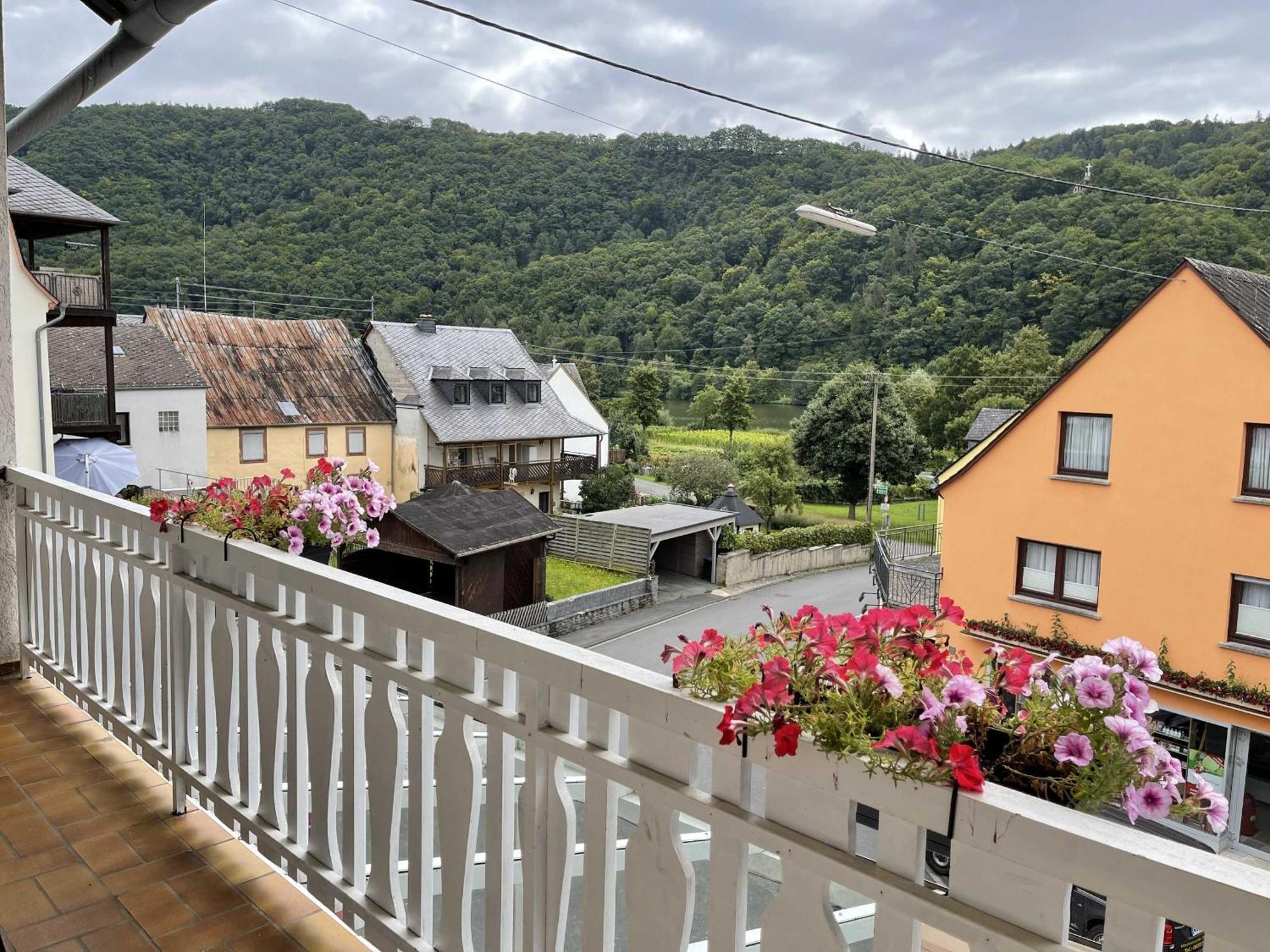 Hotel Zur Mosel Minheim Εξωτερικό φωτογραφία